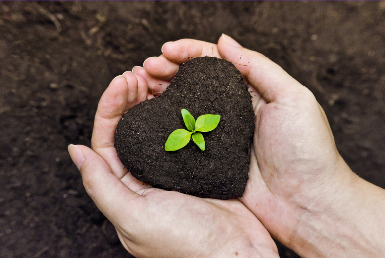 hands holding heart shaped dirt with small plant growing out of it.